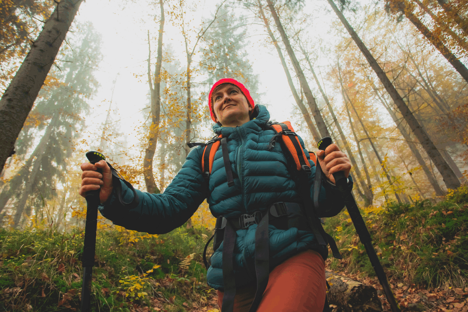 fall activities and tips for joint health